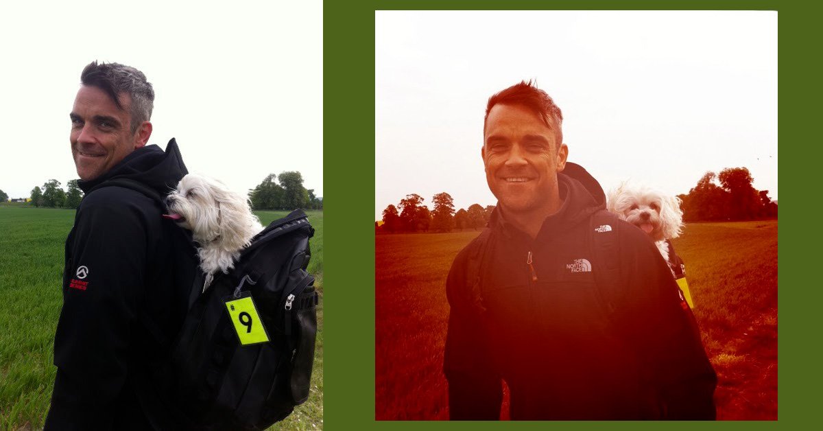 Blog : le chien de Robbie