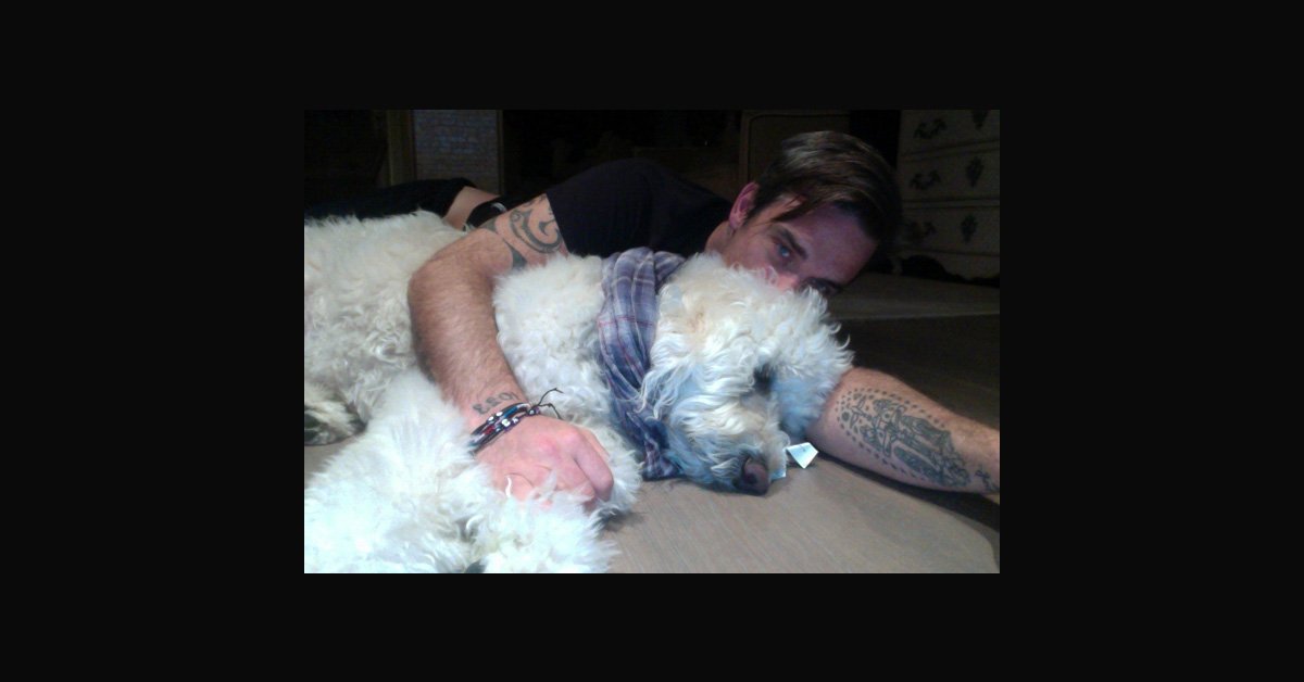 Nouveau Blog : Robbie joue au poker