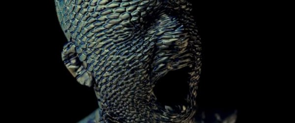 Robbie le Reptile !
